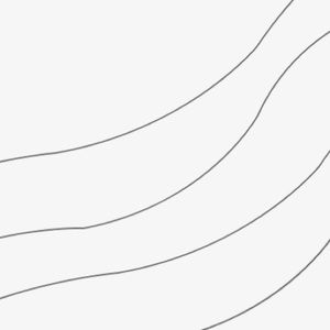 Meet your Posher, Phoebe